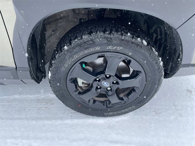 2023 Subaru Forester Wilderness