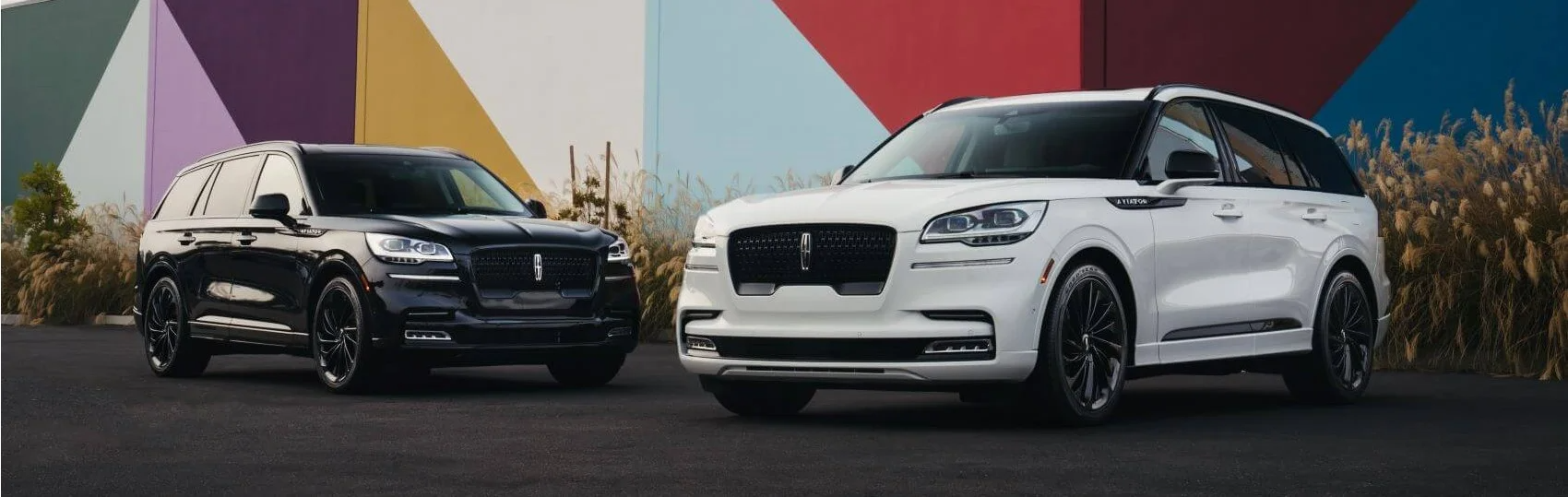 2022 Lincoln Aviator Snipped