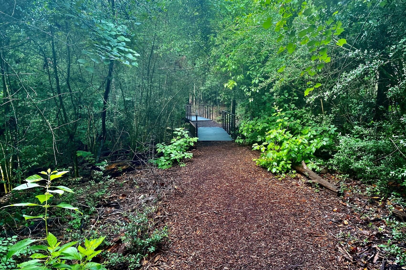 Used Car Dealer near East Grand Rapids MI